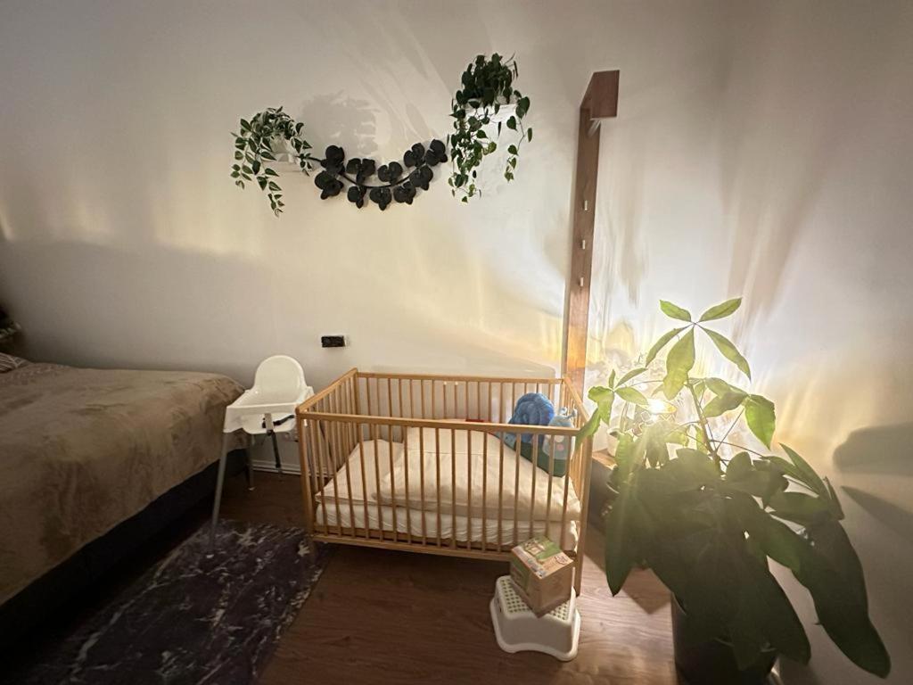 Ferienwohnung Marion Klagenfurt Zentrumsnaehe Klagenfurt am Woerthersee Екстер'єр фото